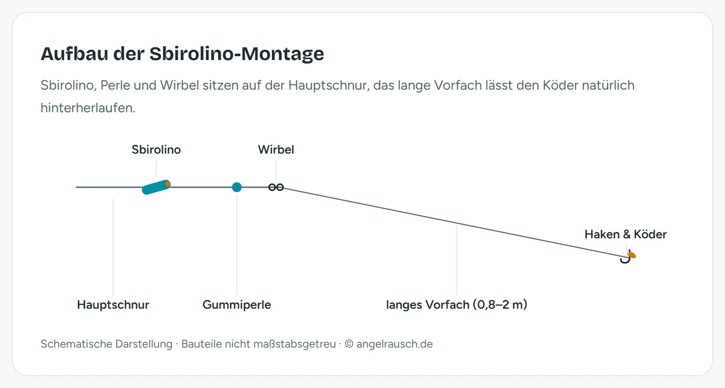 Schema der Sbirolino-Montage von der Rute zum Köder: Hauptschnur, darauf der Sbirolino mit dem Röhrchen voran, dahinter eine Gummiperle als Knotenschutz, dann ein Wirbel, daran ein langes Fluorocarbon-Vorfach von 0,8 bis 2 m mit Haken und Köder am Ende