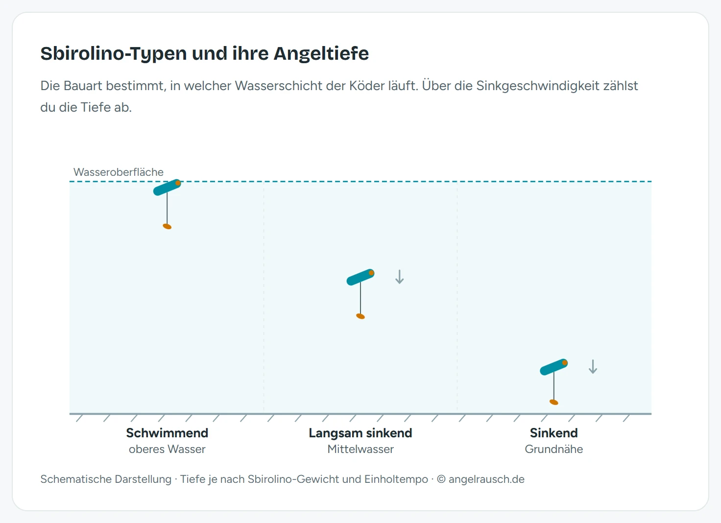 Schema der drei Sbirolino-Typen in der Wassersäule: schwimmender Sbirolino hält den Köder im oberen Wasser dicht unter der Oberfläche, langsam sinkender Sbirolino arbeitet das Mittelwasser ab, sinkender Sbirolino bringt den Köder in Grundnähe. Der Typ bestimmt die Angeltiefe
